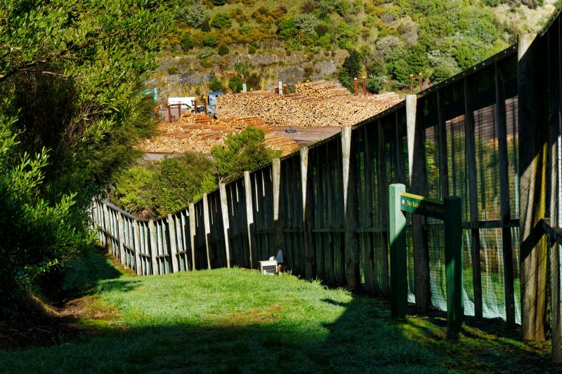 Wood Fencing